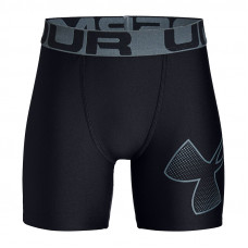 Under Armour HeatGear Fitted Shorts 
