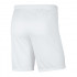 Nike JR Park III Knit shorts