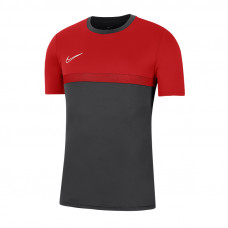 Nike Academy Pro Top SS