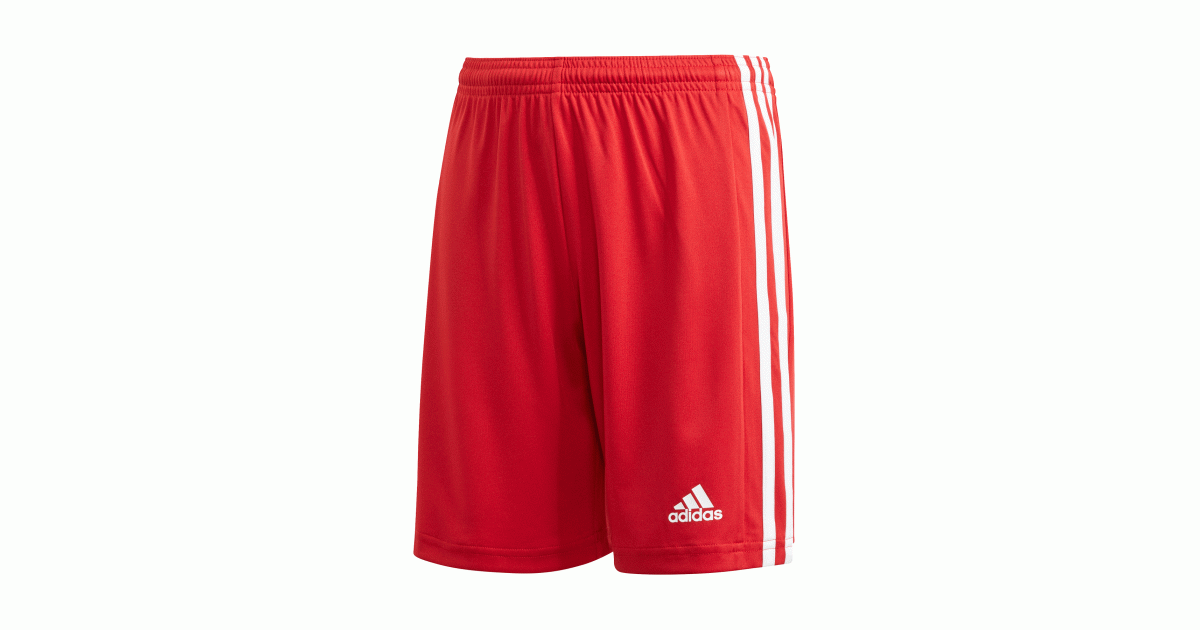 Adidas JR Squadra 21 shorts