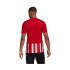Adidas Striped 21 marškinėliai