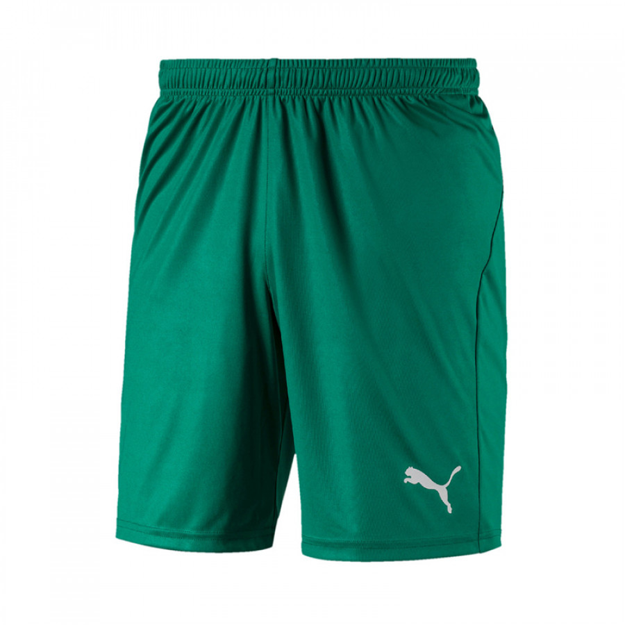 puma liga shorts core