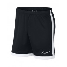 Nike Dry Academy shorts