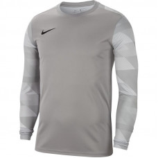 Nike Dry Park IV goalkeeper jersey