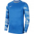 Nike Jr Park IV goalkeeper jersey