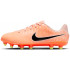 Nike Jr Tiempo Legend 10 Academy FG/MG futbolo bateliai