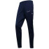 Nike Academy 25 pants