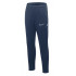 Nike Jr Academy 25 kelnės