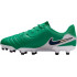 Nike Jr Tiempo Legend 10 Academy LV8 FG/MG futbolo bateliai