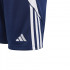 Adidas Tiro 24 šortai