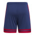 Adidas Squadra 25 shorts