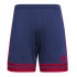 Adidas Squadra 25 šortai