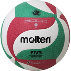Molten Volleyballs