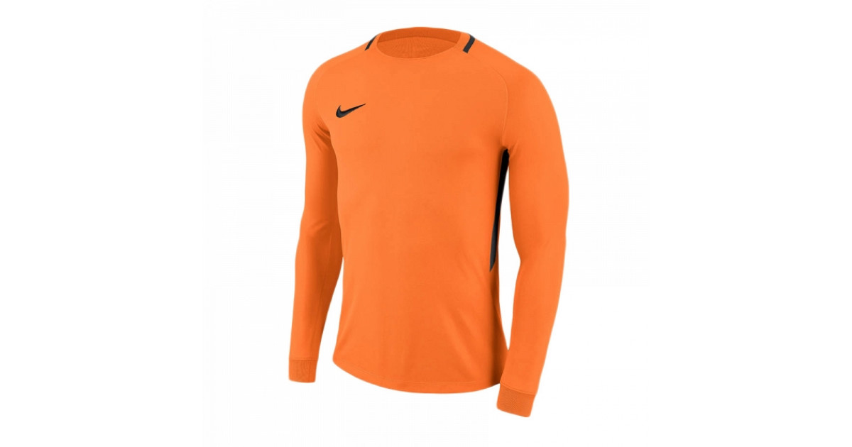 nike dry park iii gk jersey